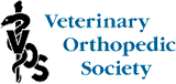 Veterinary Orthopedic Society